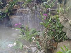 -东莞植物园