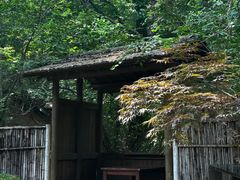 -大连植物园
