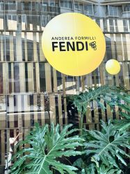 -云南吴氏嘉美医疗美容医院