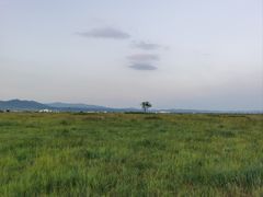 -敕勒川草原文化旅游区