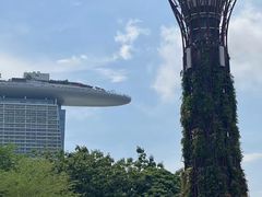 -新加坡飞禽公园