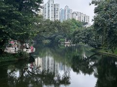 -晓港公园