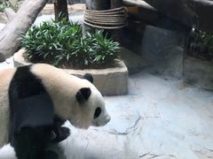 -灵玲国际马戏城
