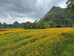 -靖西鹅泉风景区