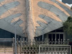-诸城市恐龙博物馆