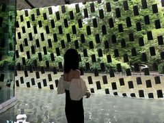 -知美术馆