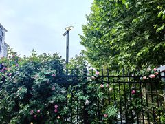 -首都医科大学附属北京天坛医院