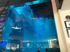 -迪拜水族馆及水下动物园