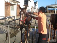 -松声马术俱乐部