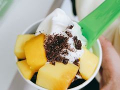 冻酸奶-Salud撒露欧洲冻酸奶(蓝色港湾店)