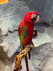 -Zoolung Zoolung动物主题公园(海信广场店)