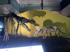 -湖南省地质博物馆