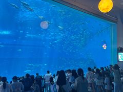 -南昌融创海世界