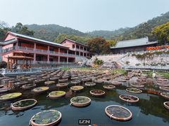 -石峰岩寺