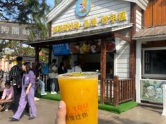 -沈阳方特欢乐世界