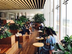 -Seesaw Coffee(朝阳大悦城店)