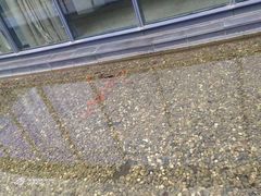 -北京园博大酒店