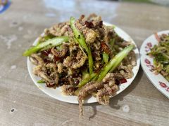 干煸鱿鱼须-鑫来子菜馆