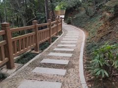 -仙岳公园