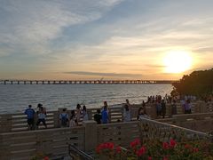 -宝安西湾红树林湿地公园