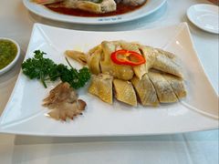 -黄埔华苑酒家(黄埔总店)
