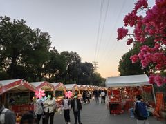 -仙岳公园