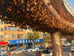-金沙湖旅游度假区