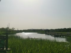-苏州太湖湖滨国家湿地公园