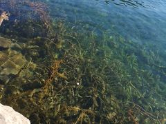 -泸沽湖里格半岛