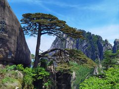 -黄山风景区