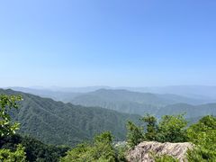 -王顺山国家森林公园