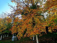 -长春世界雕塑园冰雪艺术天地