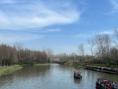 -溱湖国家湿地公园