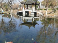 -武汉园博园(武汉自然博物馆)