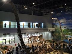 -自贡恐龙博物馆