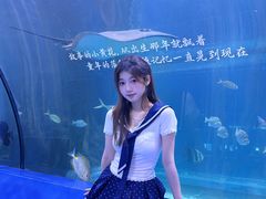 -重庆欢乐海底世界