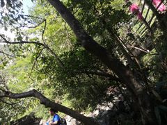 -周洛大峡谷