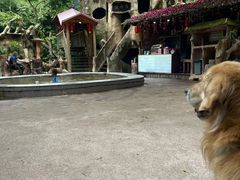 -天门沟九州驿站树上汤泉