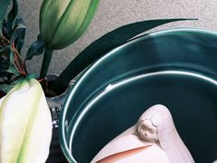 -有马温泉 竹取亭円山温泉旅馆