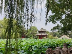 -莲池书院博物馆