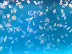 -多彩贵州城极地海洋世界