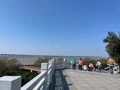 -宝安西湾红树林湿地公园