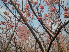 -无锡梅园公园