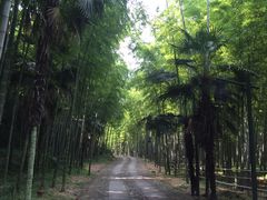 -黄公望隐居地