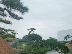 -罗红摄影艺术馆