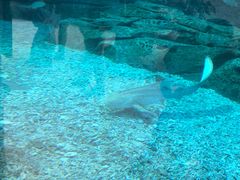 -波塞冬旅游度假区