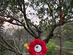 -云溪植物园