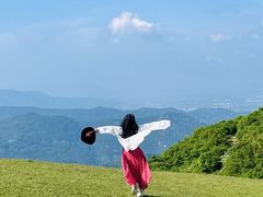 -大姆山草场