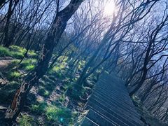 -紫金山山顶公园