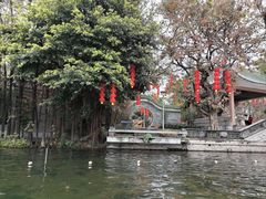 -荔湾湖公园